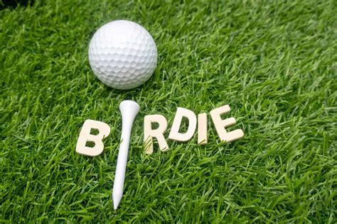 how does golf scoring work and what is the significance of birdie in golf?